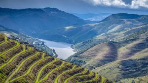Wijnlanden Europa: Ontdek wijnjuwelen!