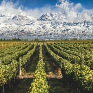 Wijnreis Argentinië op maat