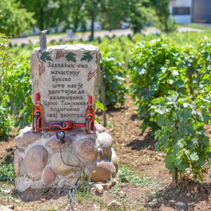 Wijnreis Bosnië op maat