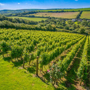 Wijnreis Engeland op maat