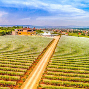 Wijnreis Macedonië op maat