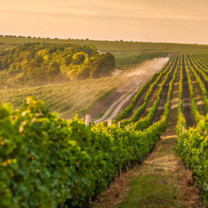 Wijnreis Moldavië op maat