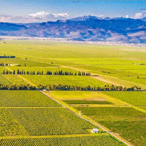 Wijnreis Montenegro op maat