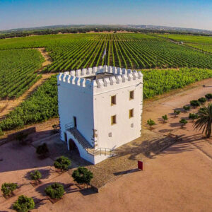Wijnreis Portugal op maat