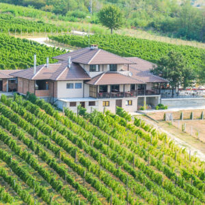 Wijnreis Servië op maat