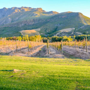 Wijnreis Zuid-Afrika op maat