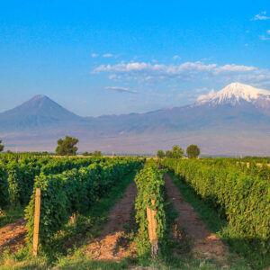 Wijnreis Armenië op maat