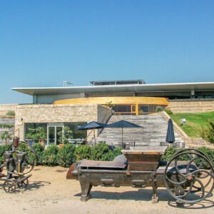 Wijnreis Chili op maat