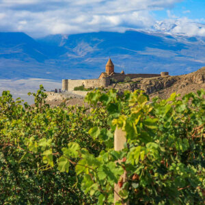 Wijnreis Georgië op maat