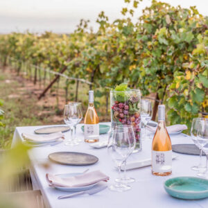 Wijnreis Mexico op maat