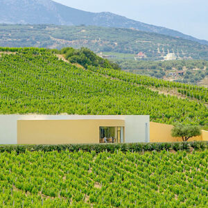 Wijnhotel Scalani Hills, Kreta, Griekenland