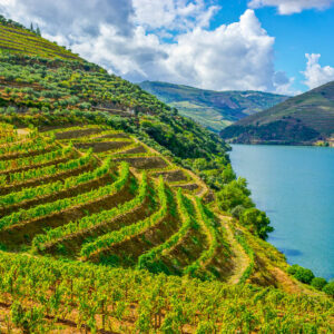 5-daagse luxe wijnreis Portugal naar Porto en de UNESCO Douro Vallei