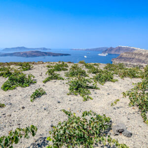 8-daagse wijnreis Griekenland : Athene, Santorini en Kreta