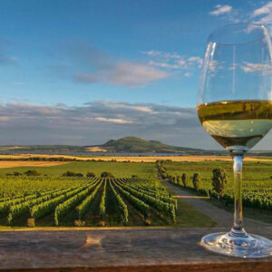 Wijnreis Slowakije op maat