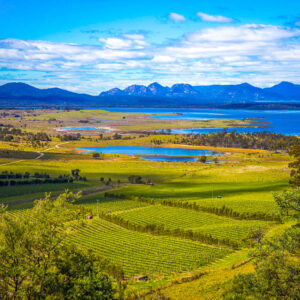 16-daagse wijnreis Australië, van Melbourne en Tasmanië naar Sydney via Adelaide of v.v.