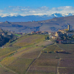 7-daagse culinaire wijnreis naar Turijn en de Piedmont, Italië