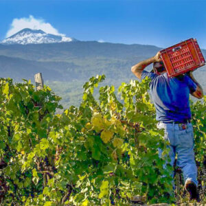 8-daagse wijnreis Etna en Sicilië met mooie wijn, cultuur en gastronomie