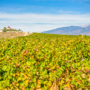 8-daagse wijnreis Bulgarije en Griekenland, inclusief citytrip Thessaloniki