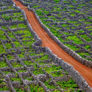 9-daagse wijnreis Azoren, Portugal