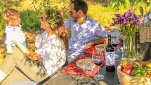 Wijntoerisme voor families : familievriendelijke wijnvakantie