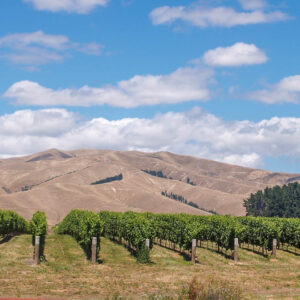 17-daagse wijnreis Nieuw-Zeeland met vliegvissen, het Noordereiland in al z’n verscheidenheid