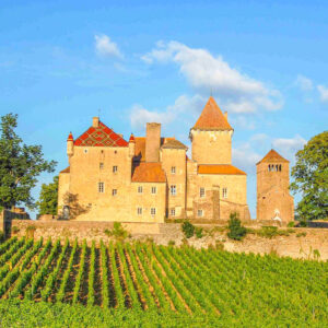 4-daagse autovakantie en wijnreis Bourgogne en Beaujolais vanuit Macon – Proef de Beaujolais- en Chardonnay-wijnen