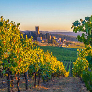 7-daagse wijnreis Toscane