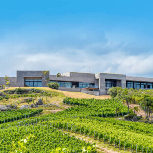 12-daagse Wijnreis Uruguay