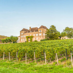 Wijndomein Chateau de la Greffière, Frankrijk