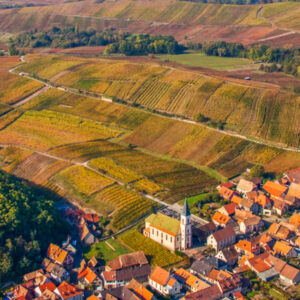 Wijndomein Domaine KOBLOTH, Frankrijk