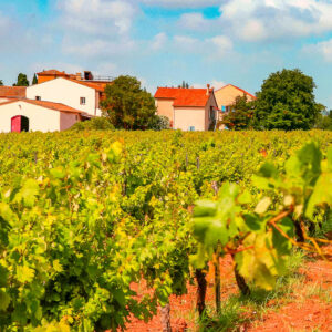 Wijndomein Chateau de Mauvanne, Frankrijk