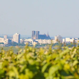 Champagnehuis Lacuisse et Frères