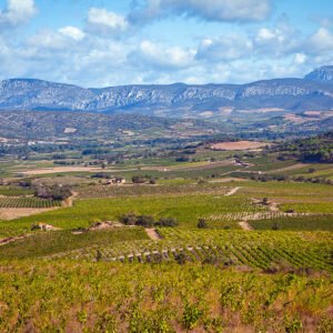 10-daagse autovakantie Frankrijk – De Languedoc wijnroute van Montpellier tot Perpignan