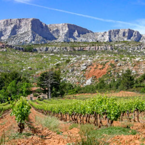 10-daagse autovakantie Frankrijk langs de Provence wijnroute