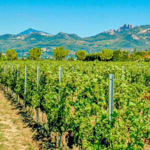 10-daagse autovakantie Frankrijk langs de Rhone wijnroute van Lyon tot Avignon