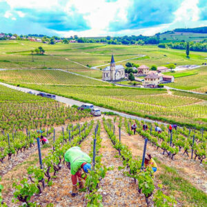 10-daagse autovakantie Frankrijk langs de Savoie wijnroute en de Franse Alpen