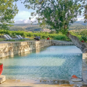 15-daagse autovakantie Frankrijk langs de Languedoc wijnroute via Carcassonne