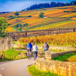4-daagse fietsvakantie Frankrijk over de Bourgogne wijnroute bij Chablis