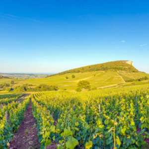 5-daagse autovakantie Frankrijk – Beaujolais wijnroute