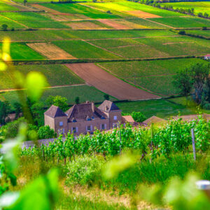 5-daagse autovakantie Frankrijk – Côte Chalonnaise -Bourgogne wijnroute