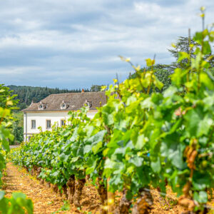 7-daagse autovakantie Frankrijk – De Bourgogne wijnroute van Dijon naar Macon