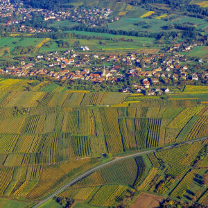 7-daagse autovakantie Frankrijk – De Elzas wijnroute van Straatsburg naar Mulhouse