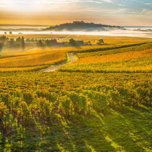 7-daagse autovakantie Frankrijk – De Loire wijnroute van Saumur naar Sancerre
