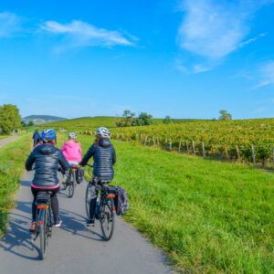 7-daagse fietsvakantie Frankrijk langs de Bourgogne wijnroute en Vougeot