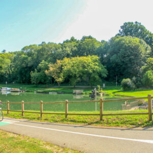 8-daagse fietsvakantie Frankrijk langs de Bordeaux wijnroute en de Atlantische kust