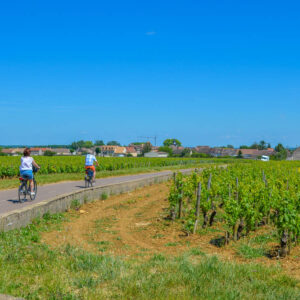 8-daagse fietsvakantie Frankrijk langs de Bourgogne wijnroute in de Nivernais