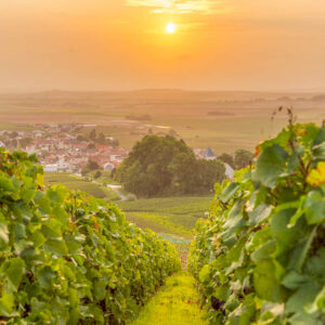 7-daagse autovakantie Frankrijk langs de Champagne wijnroute
