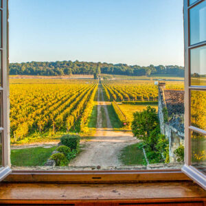 Wijnhuis Château de Chaintres