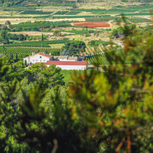 Wijnhuis Chateau Fonsalade