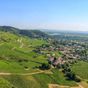 Wijndomein Vincent Paris